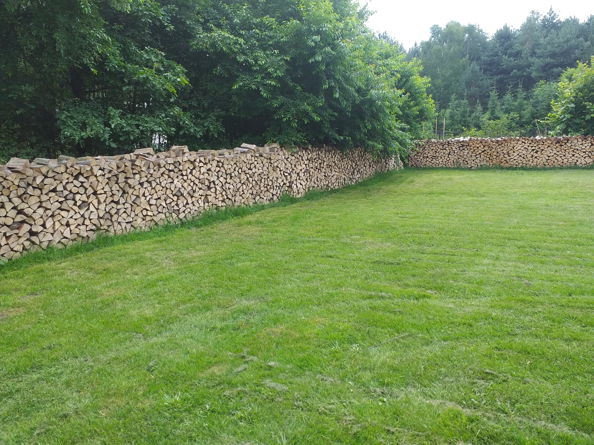 Długi, starannie ułożony stos pociętego drewna na trawniku, tworzący rodzaj ogrodzenia na tle drzew.