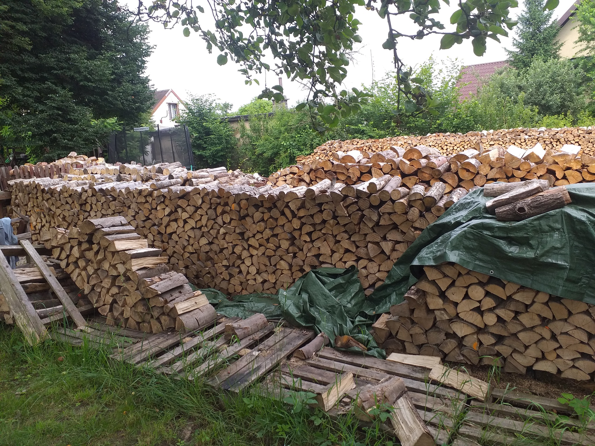 Ułożone stosy pociętych klocków drewna w Leboszowicach, część przykryta zieloną plandeką, na drewnianych paletach, w tle zieleń i budynki.