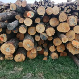 Stos pociętych kłód drewna kominkowego z zaznaczeniami w kolorze niebieskim i pomarańczowym, ułożonych na trawie.