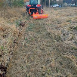 Firma Sprzątająca - Pomarańczowy traktor z kosiarką rotacyjną mulczującą, w trakcie pracy na zarośniętym polu. Widoczny pas skoszonej trawy i wysoka, sucha trawa dookoła.