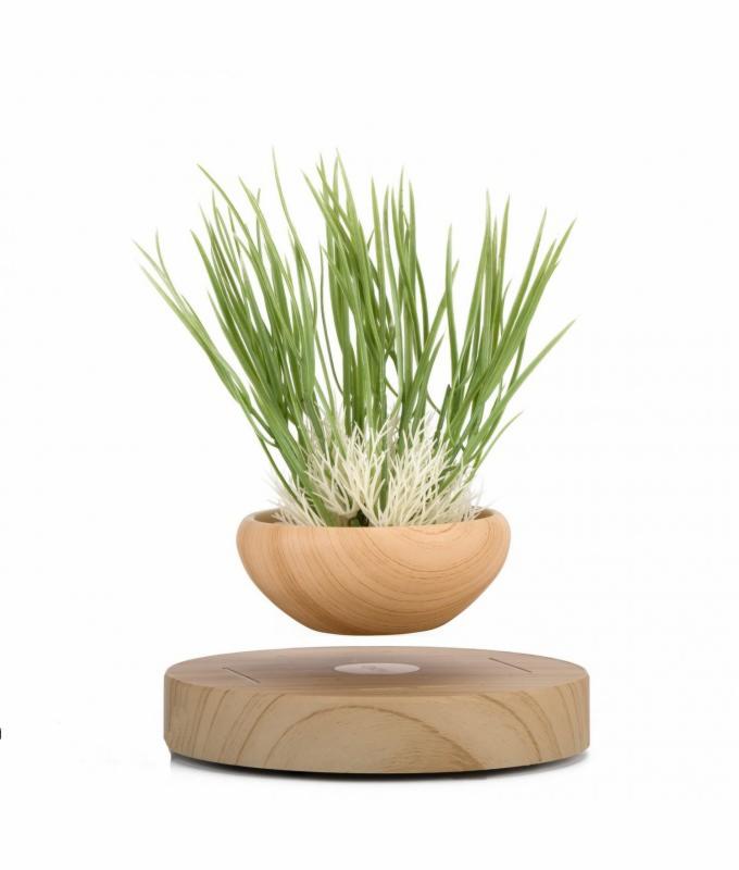 Lewitująca doniczka z sztuczną trawą i dekoracyjnymi białymi gałązkami na drewnianej podstawie, na białym tle.