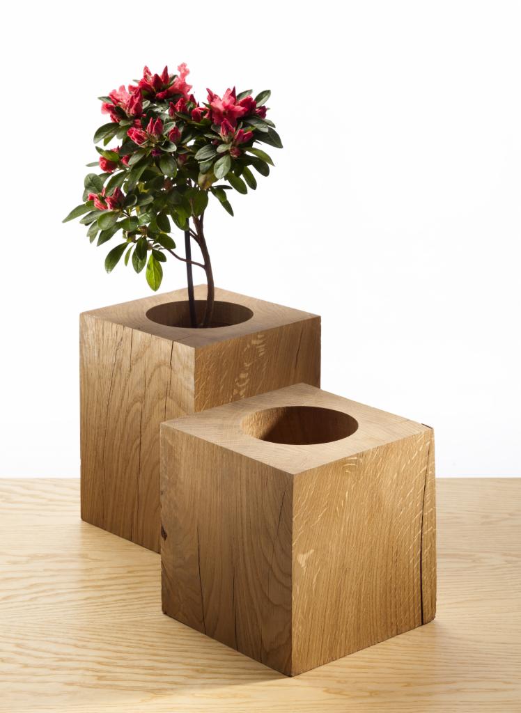 Dwa drewniane, kubiczne kwietniki z otworem na rośliny, jeden z kwitnącą azalią, ukazujące naturalny rysunek drewna dębowego na jasnym blacie i białym tle.