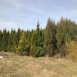 Sprzątanie biur bratysława 3