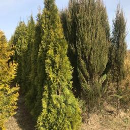 ogrodnictwo - Zarządzanie Wsp&oacute;lnotą Mieszkaniową bratysława