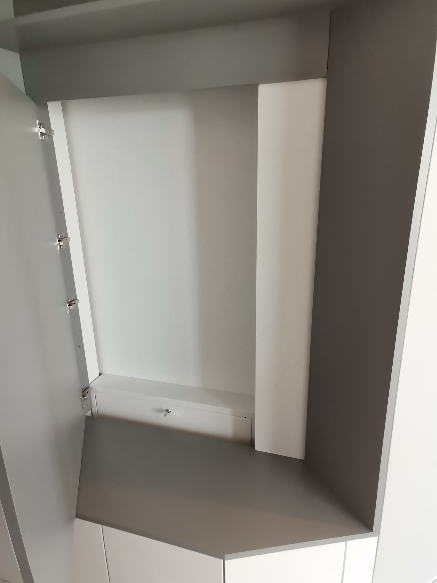 Wnętrze szafy z otwartymi drzwiami, widoczne półki i zawiasy.