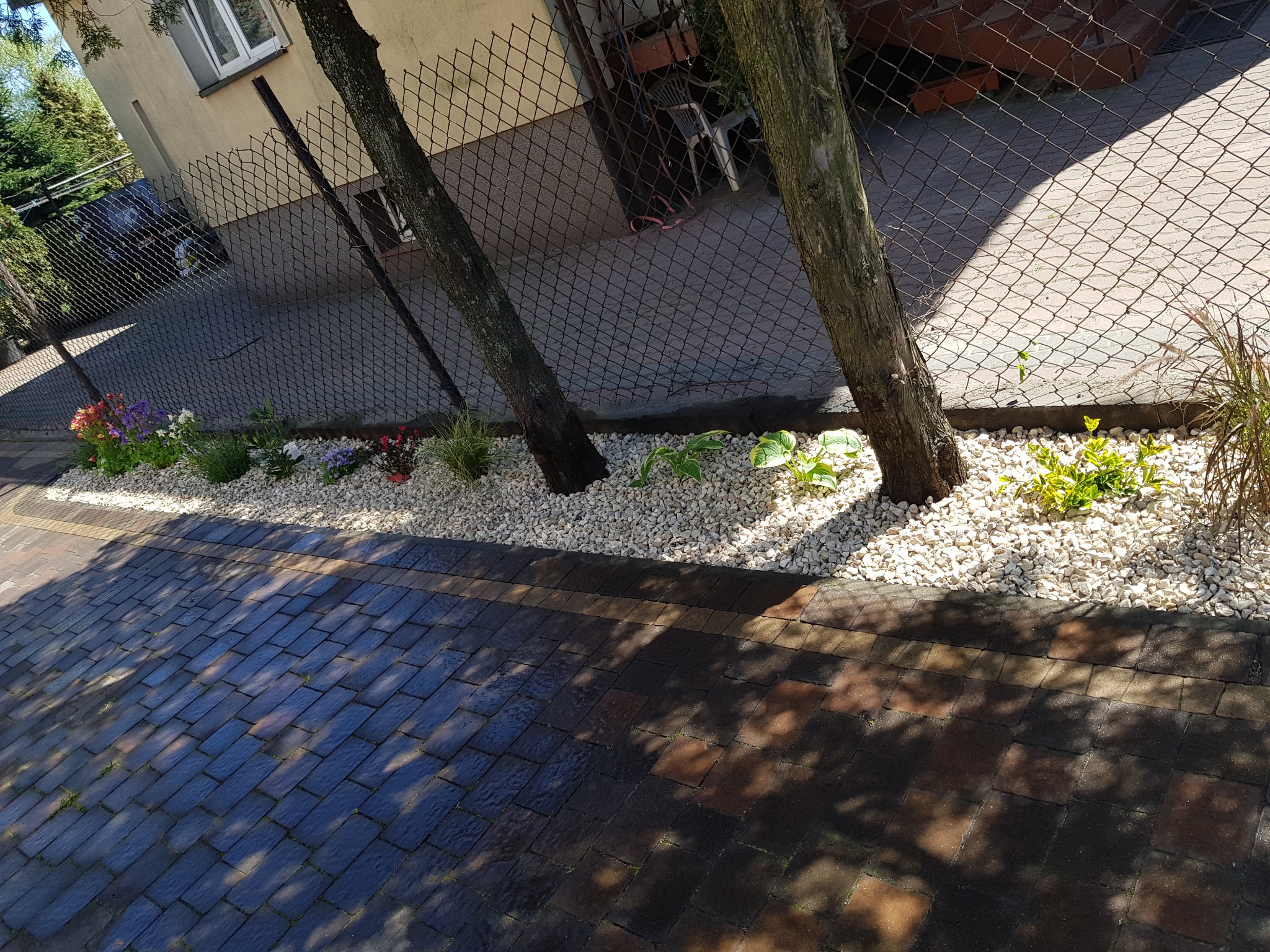 Rabata z białych kamieni i nasadzeniami kwiatów oraz krzewów, oddzielająca chodnik z kostki brukowej od ogrodzenia z siatki.