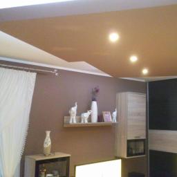 Renomex - Sufit podwieszany z oświetleniem punktowym w salonie z brązowymi ścianami, zasłoniętym oknem i dekoracjami na półce.
