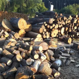 Stosy pociętych kloców drewna różnej wielkości, ułożone na ziemi, w tle widoczny większy składzik drewna i drzewa.