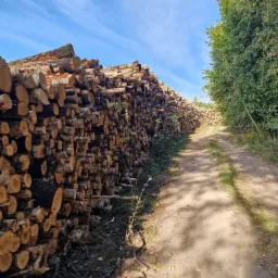 Stosy pociętego drewna ułożone wzdłuż polnej drogi, widoczne ślady opon, błękitne niebo z chmurami w tle.