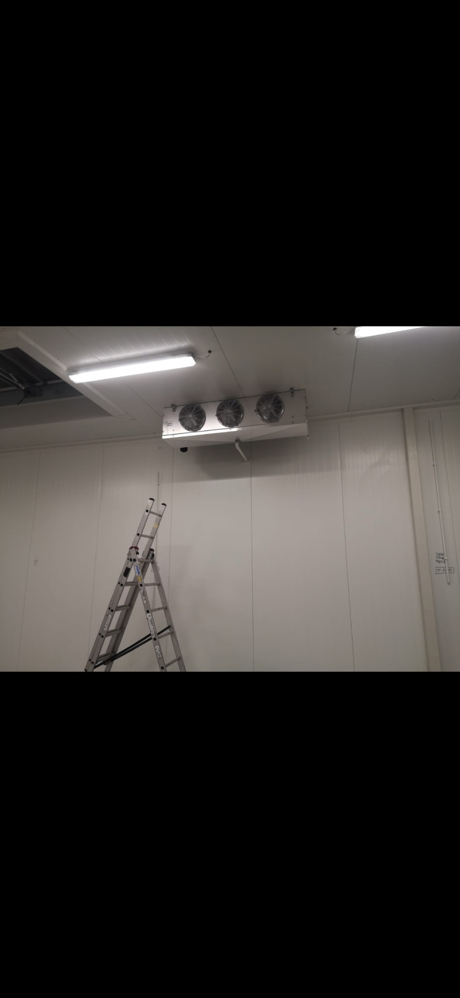 Wnętrze chłodni z zamontowanym agregatem chłodniczym sufitowym z trzema wentylatorami i rozstawioną drabiną aluminiową.