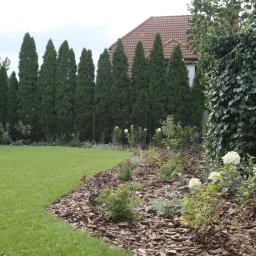 Zielone Ogrodniczki - Profesjonalne Utrzymanie Ogrodów w Bartoszycach
