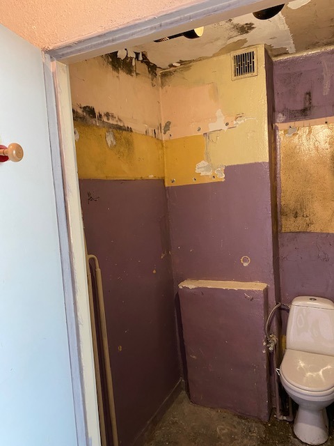 Łazienka w trakcie remontu: ściany z resztkami farby w odcieniach fioletu, żółci i beżu, widoczne ślady wilgoci i grzyba na suficie, toaleta z widocznymi śladami użytkowania.