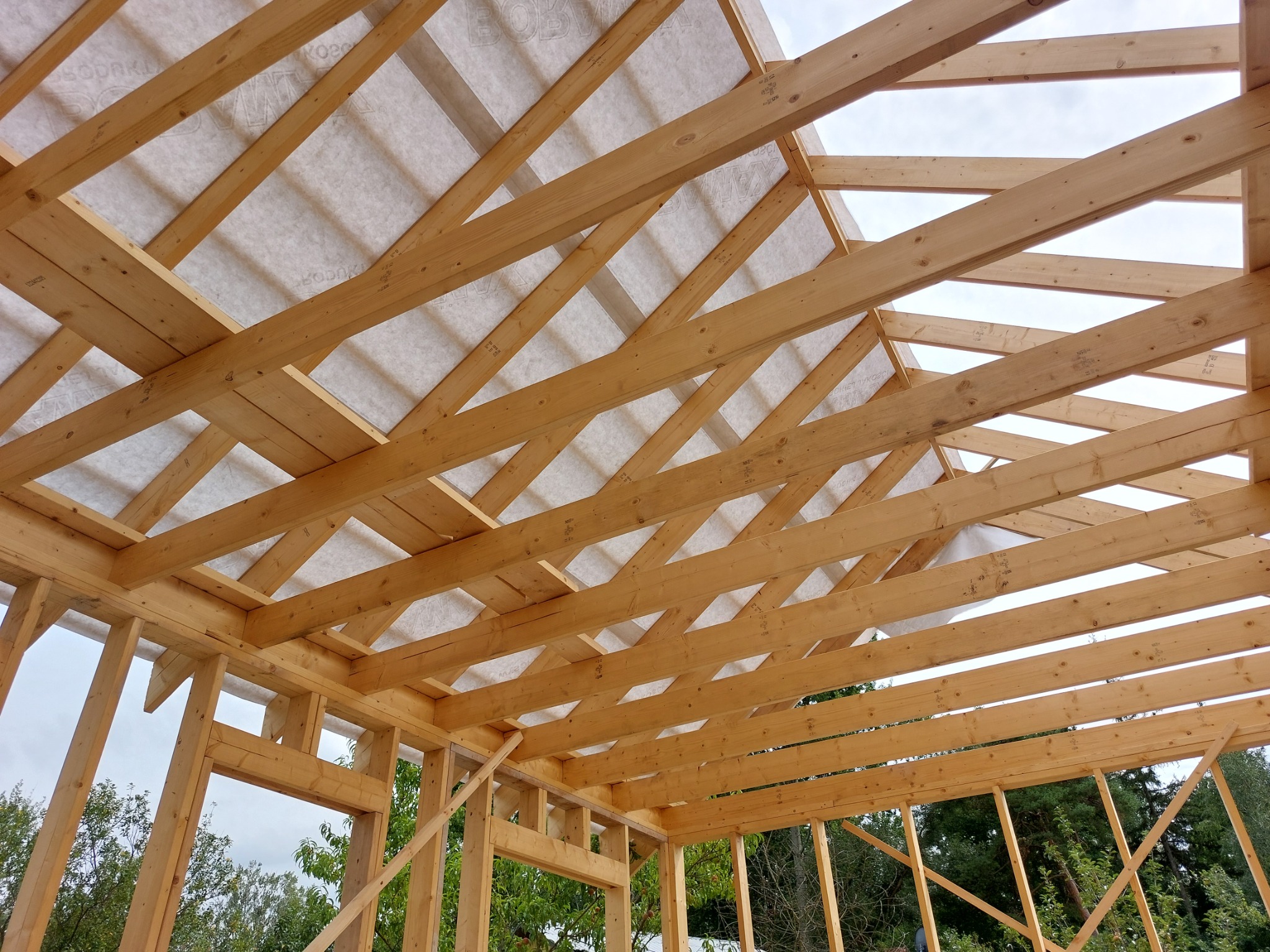 Surowa konstrukcja domu szkieletowego z widoczną więźbą dachową i membraną, jasne drewno, widok z dołu na tle nieba i zieleni.