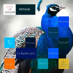 Grafika reklamowa z pawiem w tle, prezentująca hasła motywacyjne i informacje o dotacjach dla firm.