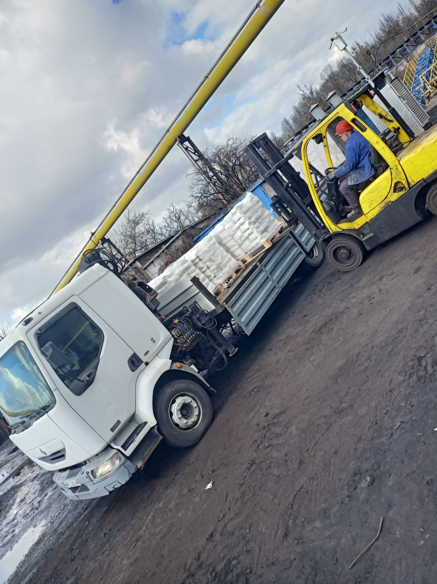 Żółty wózek widłowy załadowuje palety z workami na pakę białej ciężarówki na błotnistym placu. Operator w kasku i roboczym ubraniu. W tle instalacja przemysłowa.