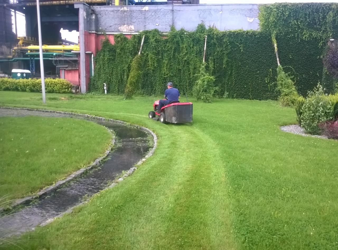 Mężczyzna na czerwonej kosiarce trawnikowej z czarnym koszem tnący trawę w pobliżu ozdobnego strumyka i ściany porośniętej bluszczem, na tle przemysłowego budynku.