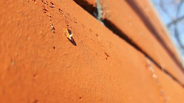 czyszczenie cegły i impregnacja