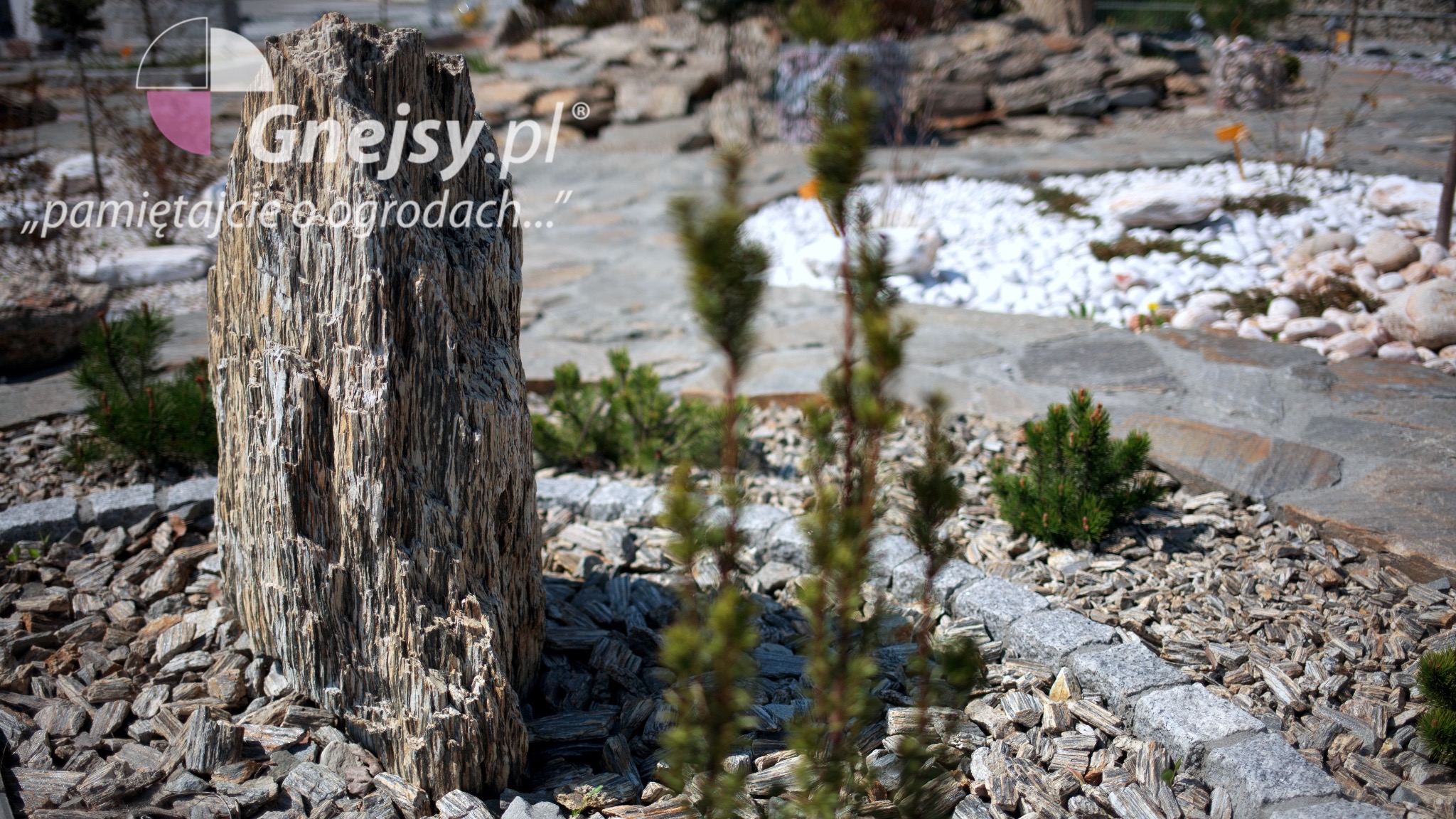 Ozdobny monolit z łupka w ogrodzie, otoczony drobnym grysem z tego samego materiału, w tle widoczny fragment ścieżki z jasnych kamieni.