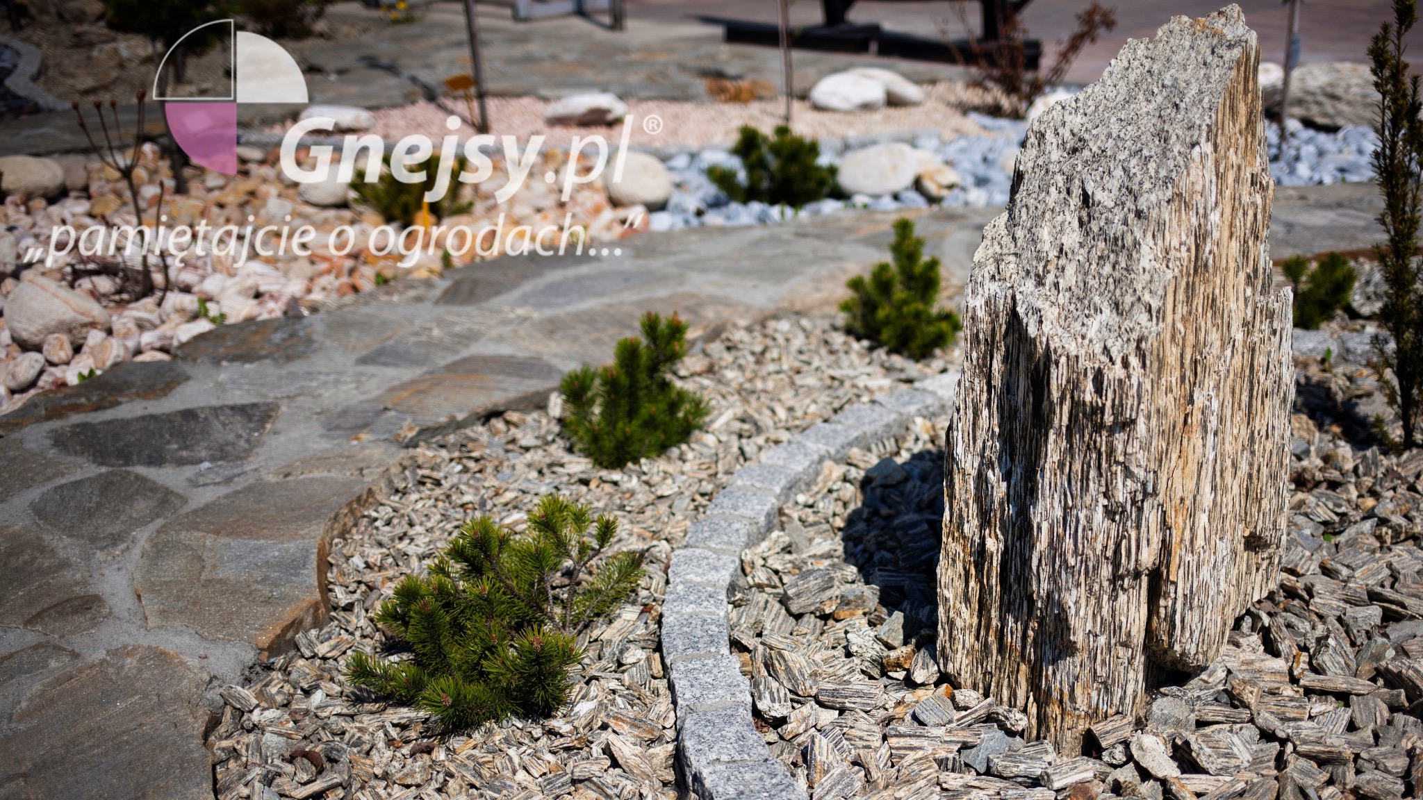 Ogród z kamienną ścieżką, ozdobnym monolitem z piaskowca i karłowatymi iglakami, wyściółkowany korą kamienną i drobnym żwirem, widoczny znak wodny firmy.