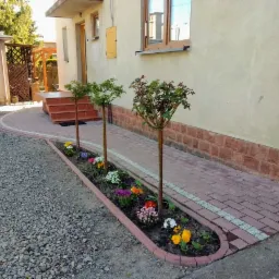 Ogródek przed domem z niskimi drzewkami i rabatą kwiatową, obok ścieżka z kostki brukowej, w tle budynek z ceglaną podmurówką.