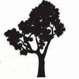 Czarna sylwetka drzewa liściastego na białym tle, bez szczegółów korony i pnia.