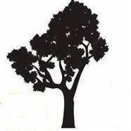 Czarna sylwetka drzewa liściastego na białym tle, bez szczegółów korony i pnia.