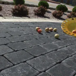 Ciemnoszara, prostokątna nawierzchnia z kostki z kilkoma jabłkami rozsypanymi obok pomarańczowej misy z owocami; w tle krzewy i kamyki.