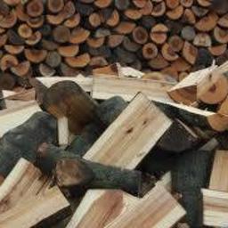 Zieleń - Sprzedaż Drewna Opałowego Poświętne