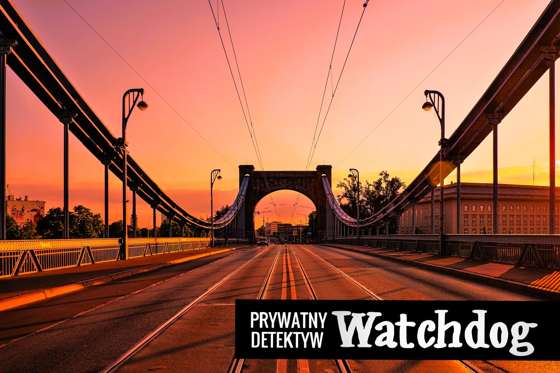 Most Grunwaldzki we Wrocławiu o zachodzie słońca z logo 'Prywatny Detektyw Watchdog' na pierwszym planie. Widok perspektywiczny, symetryczny kadr.