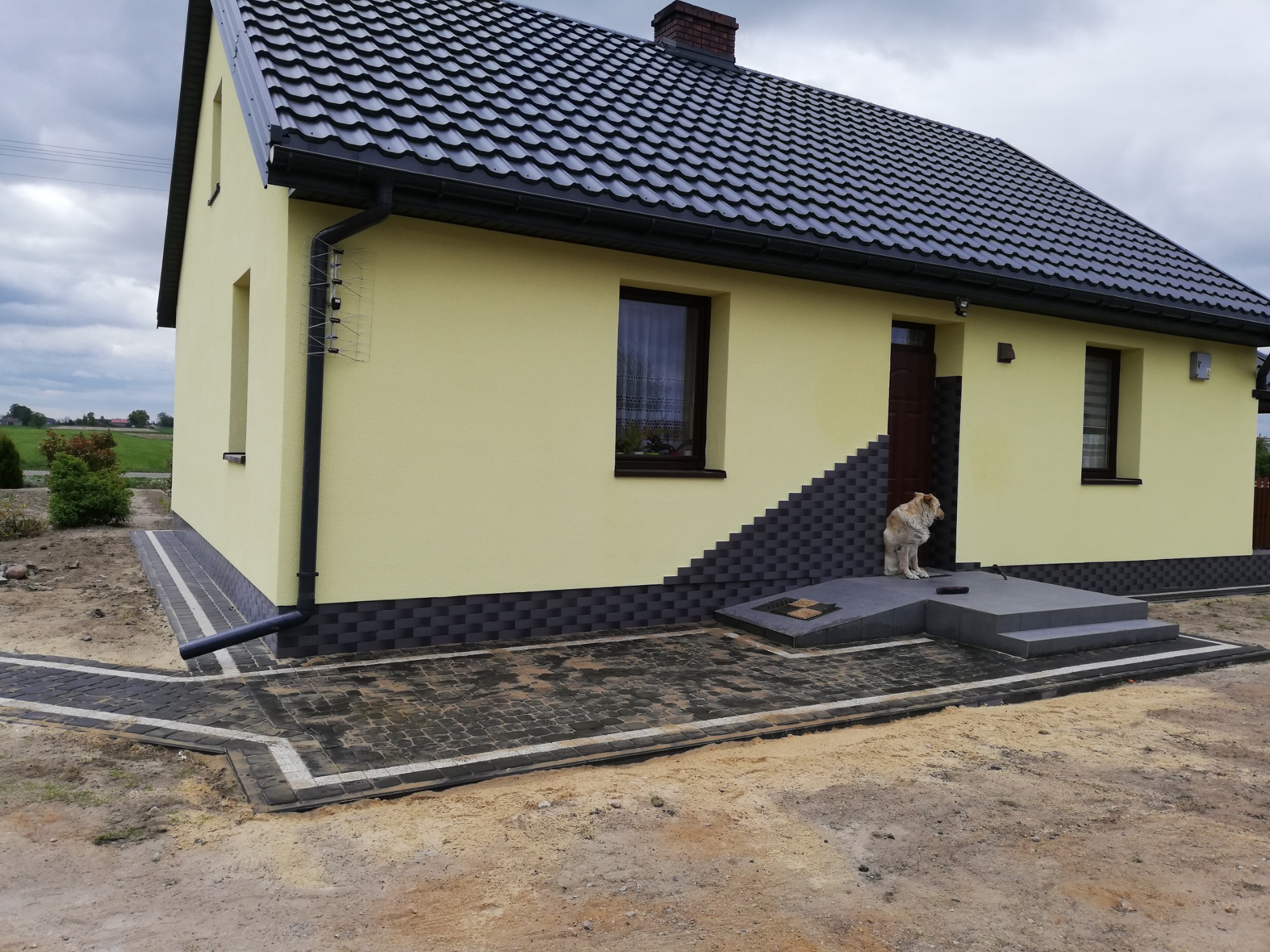 Żółty dom jednorodzinny z czarnym dachem i kostką brukową, pies stoi na schodach wejściowych.