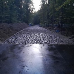 Walec sp zo.o. - Ułożona kostka granitowa w lesie, widok na ścieżkę z kamienia. W tle drzewa i hałda ziemi. Częściowo mokra nawierzchnia.