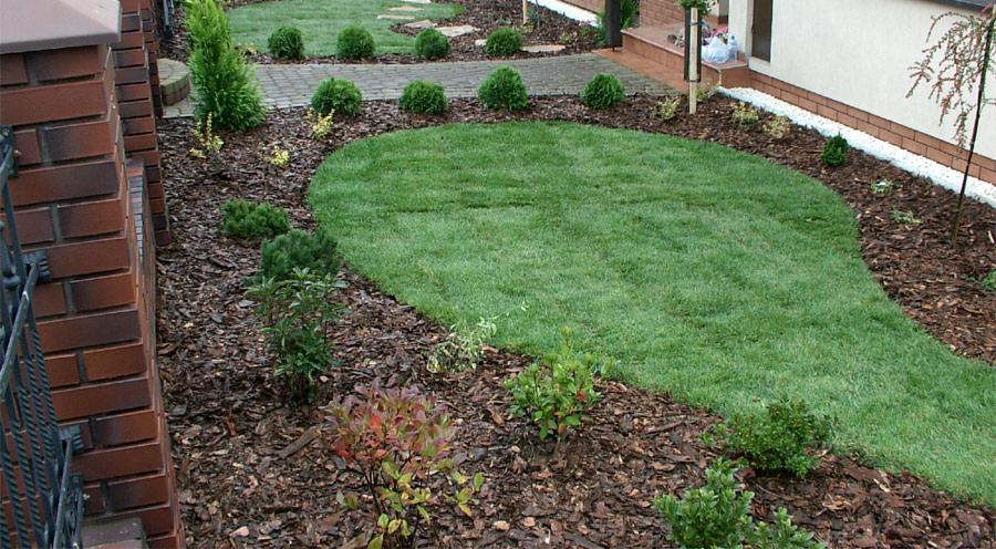 Ogród z równo przystrzyżonym trawnikiem w kształcie łzy, obrzeża wysypane korą, niskie krzewy i kuliste tuje wzdłuż ścieżki z kostki brukowej.