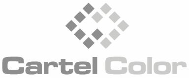 Szare logo firmy Cartel Color z motywem rombów ułożonych w kształt diamentu nad napisem.