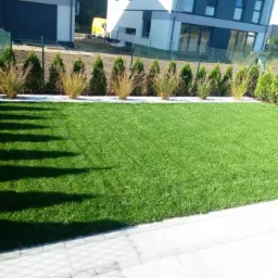 Równy trawnik z rolki, obrzeża z jasnej kostki, rząd tuj i ozdobnych traw wzdłuż ogrodzenia, cień drzewa na trawie.