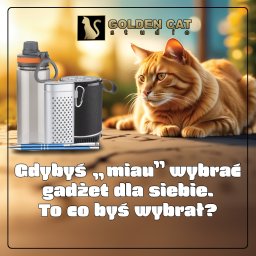 Katalog gadżetów dostępny na stronie www.goldencat.pl