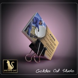 Golden Cat Studio - Wizytówka Satil