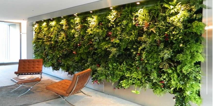 Wertykalny ogród w biurze z różnorodną roślinnością, oświetleniem punktowym i parą skórzanych foteli Barcelona na szarym dywanie.