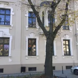 Elewacja kamienicy z ciemnymi oknami w ozdobnych, jasnych ramach, widoczny fragment drzewa i zaparkowany samochód.