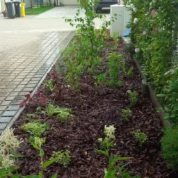 Rabata z młodymi roślinami i korą drzewną wzdłuż chodnika i ogrodzenia, na tle domu z podjazdem.
