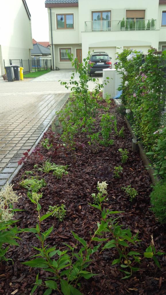 Rabata z młodymi roślinami i korą drzewną wzdłuż chodnika i ogrodzenia, na tle domu z podjazdem.