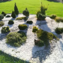 Aranżacja ogrodu z ozdobnymi krzewami i białym żwirem, widoczne różne formy strzyżenia roślin, obrzeże z betonowych elementów, trawnik w tle, lekko rozmyte ujęcie.