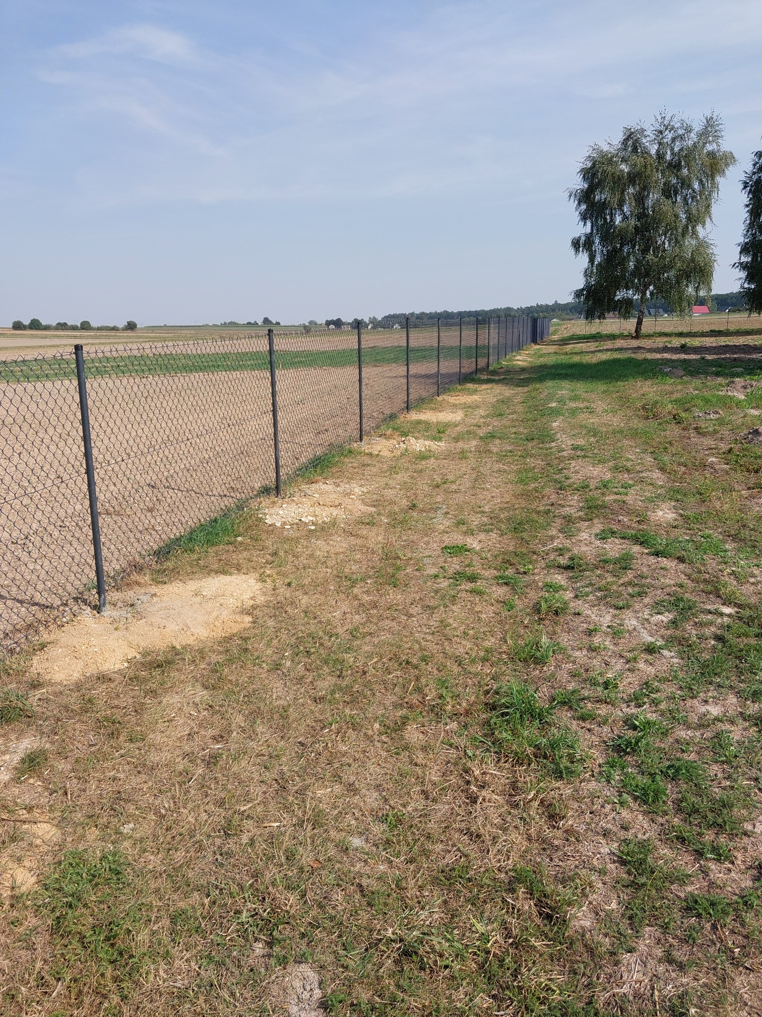 Długa siatka ogrodzeniowa z czarnymi słupkami na skraju pola, widoczna trawa, drzewa w tle pod błękitnym niebem.