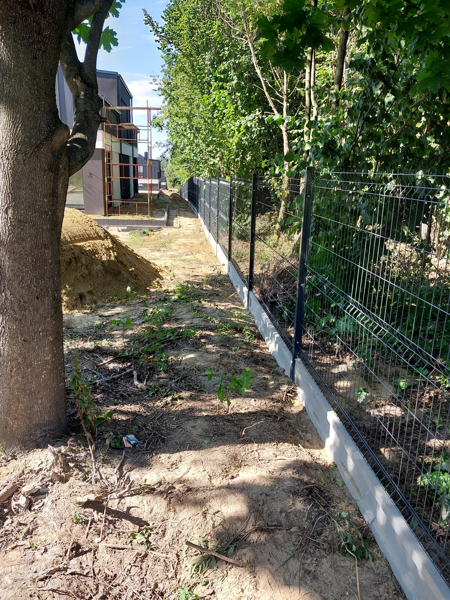 Długi fragment czarnego, panelowego ogrodzenia z betonową podmurówką wzdłuż leśnej działki z młodymi drzewkami, widok z bliska.