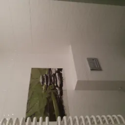 Wykończona łazienka z białymi, kwadratowymi płytkami na ścianach i suficie, dekoracyjna grafika z motywem roślinnym na ścianie, widoczny fragment grzejnika drabinkowego i spłuczka toalety.