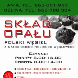 Ogłoszenie składu opału EURO STAR z informacjami kontaktowymi, godzinami otwarcia i asortymentem: kostka, orzech, ekogroszek, miał, podpałka do pieca, kominka i grilla. W tle bryły węgla.