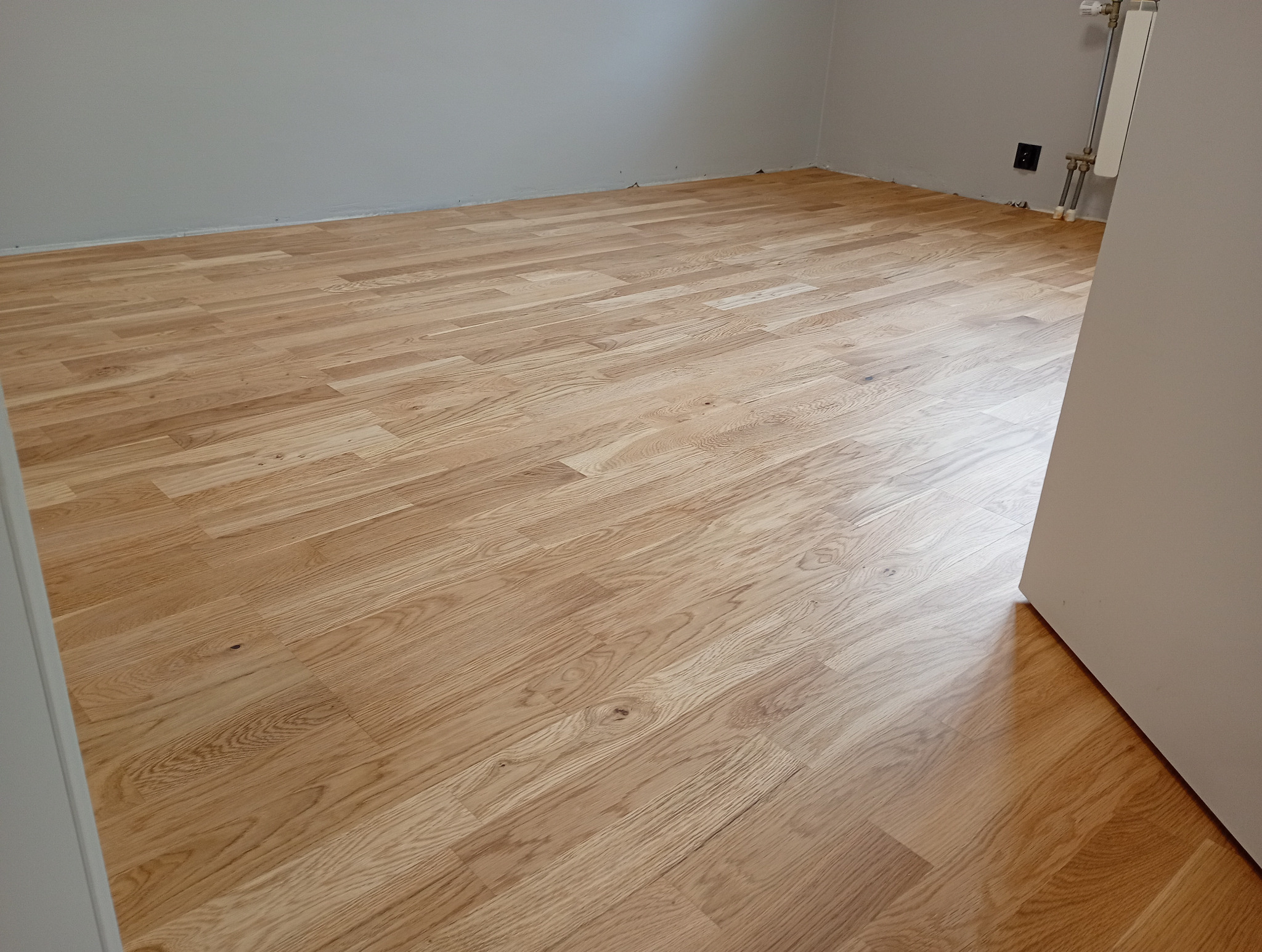 Jasne panele podłogowe ułożone w pokoju o szarych ścianach. Widoczny fragment białej futryny drzwi i grzejnik na ścianie. Ujęcie z niskiego kąta.