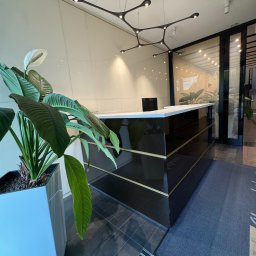 Moppy.pl - Nowoczesne biuro: czarna lada recepcyjna z białym blatem, designerska lampa sufitowa i roślina w białej donicy. Czyste, jasne wnętrze z elementami szkła.