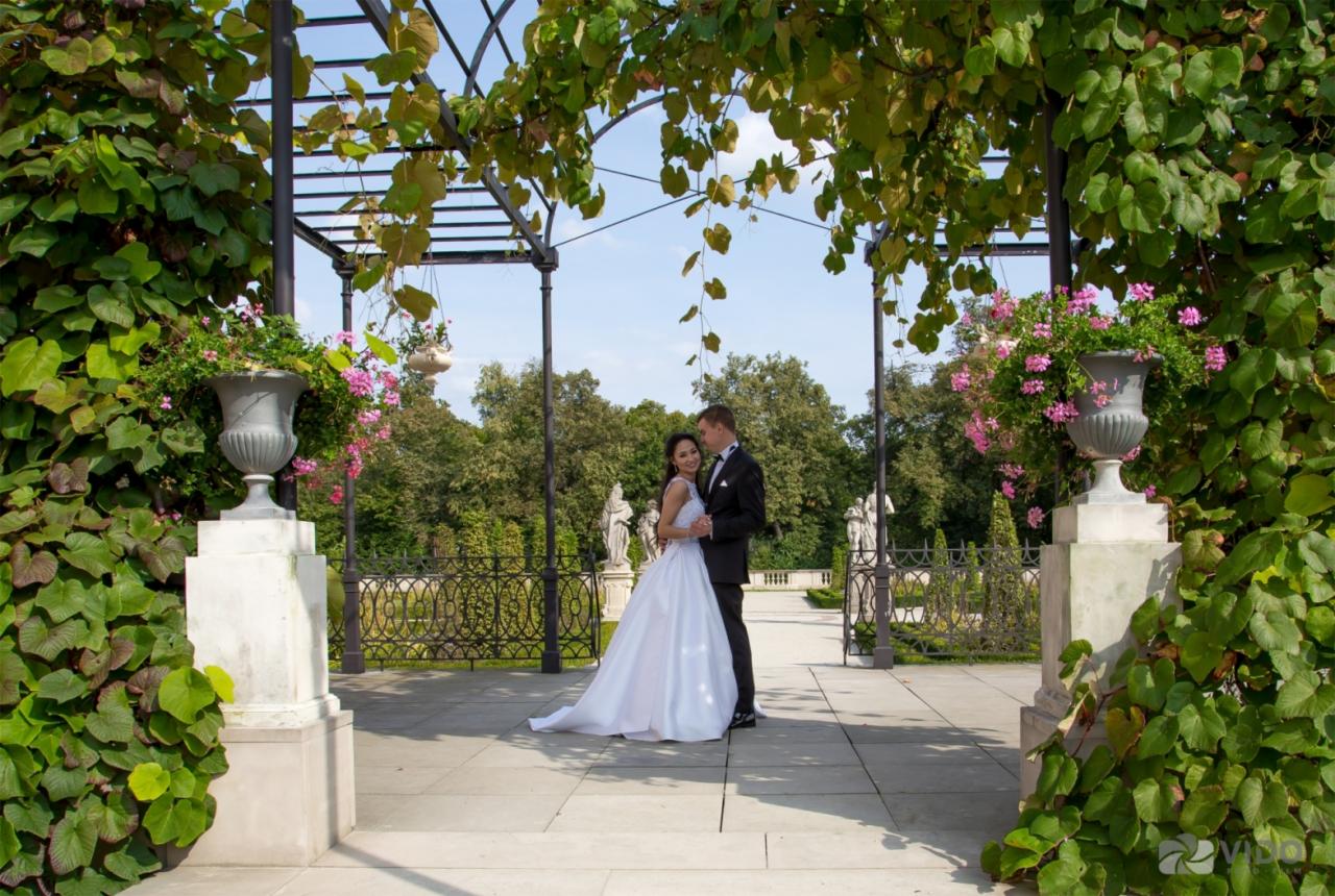 Para młoda w objęciach pod pergolą porośniętą zielenią w ogrodzie z rzeźbami, panna młoda w białej sukni, pan młody w smokingu, klasyczna sceneria ślubna.