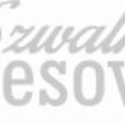 Stylizowany napis 'Szwalnia Dresowy' w jasnoszarym kolorze na białym tle.