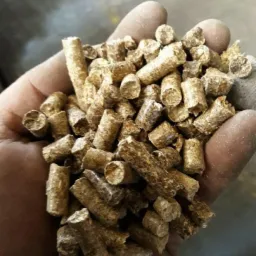 Garść brykietu opałowego z biomasy, widoczne drobne nierówności powierzchni i delikatne zarysowania na dłoni.